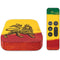 The Lion of Judah Rasta Flag Apple TV Skin